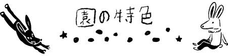 ̓F