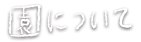ɂ