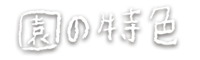 ̓F