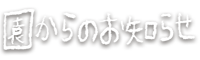 ̂m点